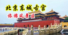 操骚妇逼逼中国北京-东城古宫旅游风景区